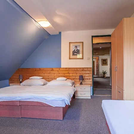 Satek Guest house Lipova Lazne